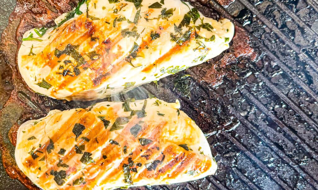 Grilled lemon herb chicken breasts with herbs on a barbecue grill.
