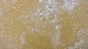 lemon ricotta protein pasta, boiling pasta water.