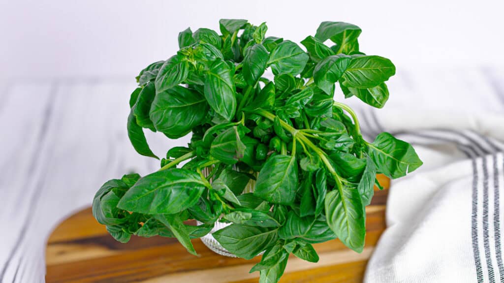 basil in a glass jar on a wooden surface with a tea towel on a cutting board